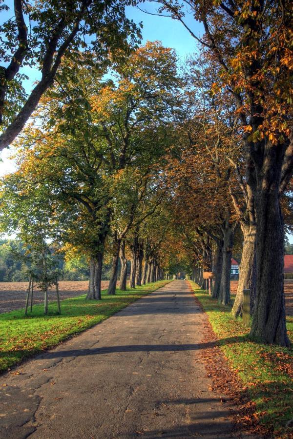 Schlosspark Hollwinkel Preußisch Oldendorf Zewnętrze zdjęcie